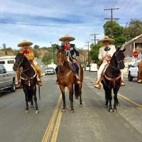 Pesas Trejo's profile image