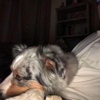 Lawrence Mills's profile image