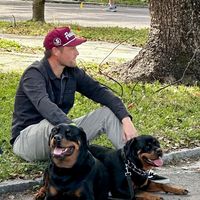 Chris Williams's profile image