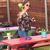 Maria Carolyn's profile image