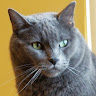 Suzanne's profile image