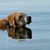Martha Hill McNiff's profile image