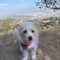 Cindy H.'s profile image