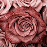 Martinez's profile image