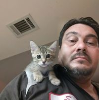 Tom Engelsman's profile image