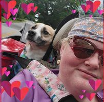 Rebecca Jean's profile image