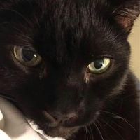 Jaime Griggs's profile image