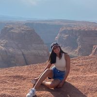 Gal Shwartz's profile image