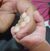 Syed Hussain's profile image
