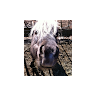 Conner's profile image
