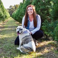 Ashley Lauren's profile image