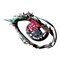 Norma M.'s profile image