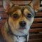 Linda W.'s profile image