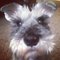 Jennifer B.'s profile image