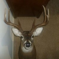 Jeremy Steinbrunner's profile image