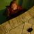 Carolyn Pratt-Mycek's profile image