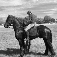 Lucy Vicky's profile image