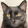 Antney's profile image