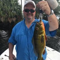 Paul Himmelsbach's profile image