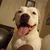 Bitsy Grady's profile image