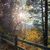 Judy Hickman's profile image