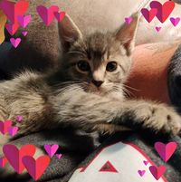 Tammy Cusson's profile image