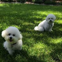 Bertie Sue Alexander's profile image