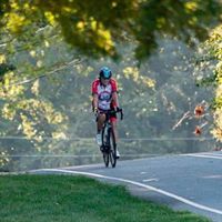 Paula Dobbins's profile image