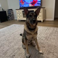 Karen Darnell Brown's profile image