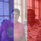 Ruth T.'s profile image