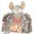 Sturgis Rat's profile image