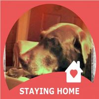 Elaine Kornokovich's profile image