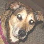 Bobbie Jiminez's profile image