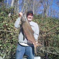 Earl Watkins's profile image