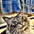Scott Clark's profile image