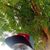 Joseph Lujang's profile image