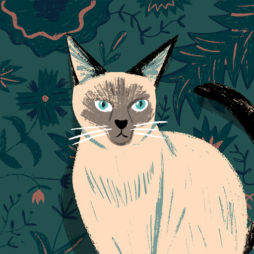 S. Gemini's profile image