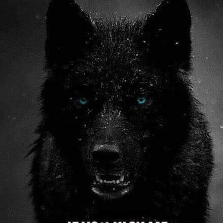 Gamer 222's profile image