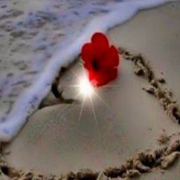 Claudia Galvan's profile image