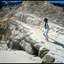 Joy Wright's profile image