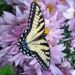 Lori Helmick's profile image