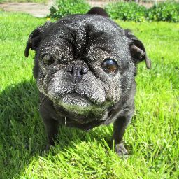 Katie Dyson's profile image