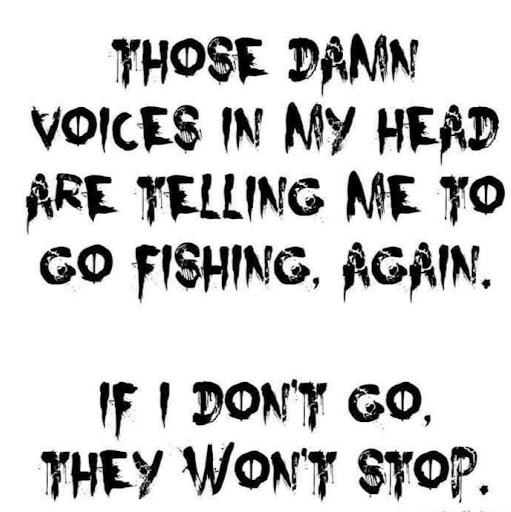 ShRloTsWeb's profile image