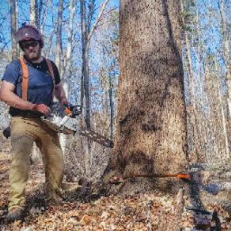 Amateur Logger's profile image