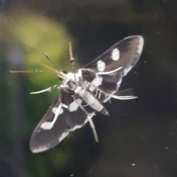 Michelle's profile image