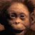 Lucy G.'s profile image