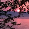 Mary Jo H.'s profile image