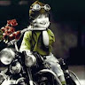 JustMeWhyNot A.'s profile image