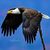 Owen S Cramsie Photography's profile image