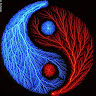 Light 1.'s profile image